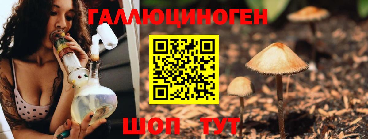 Псилоцибиновые грибы Psilocybe  где продают наркотики  Ханты-Мансийск  Вход с VPN 