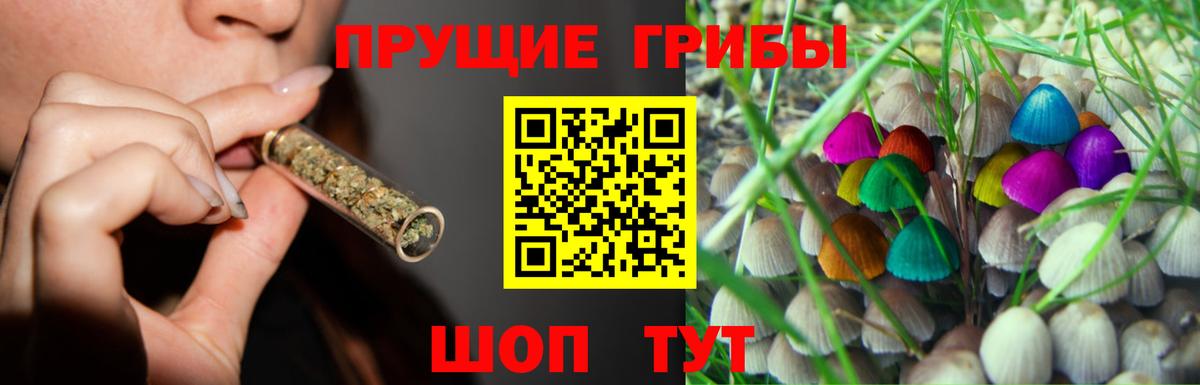 Галлюциногенные грибы прущие грибы Ханты-Мансийск